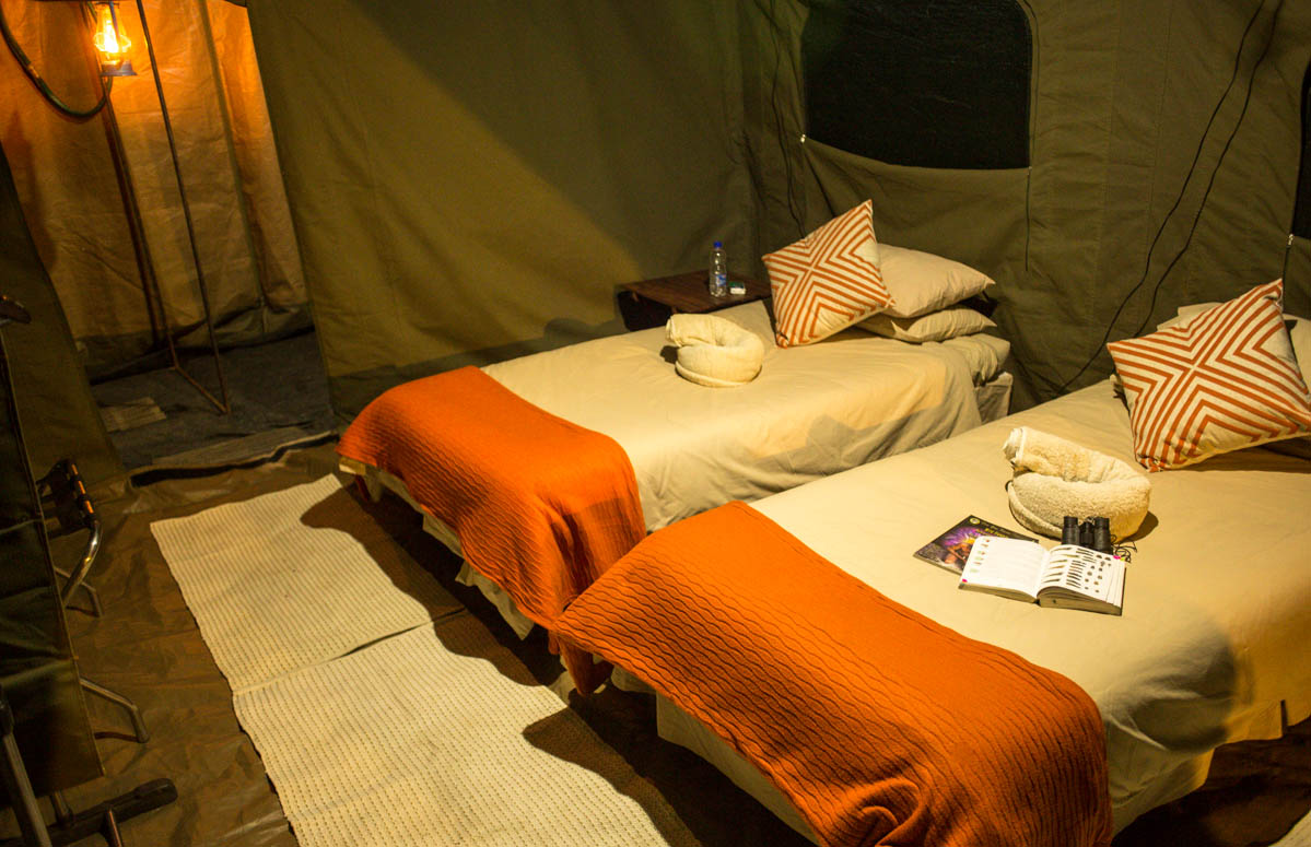 Luxury safari tent, Botswana