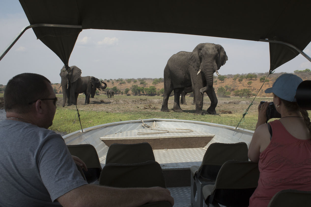 Boat cruise on the Chobe River, Botswana