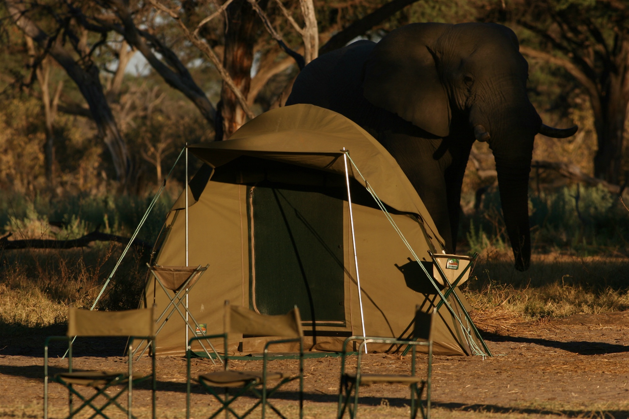 Semi-luxury dome tent, Botswana